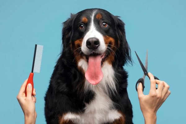 Pet Care Basics