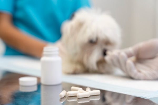 Complete Pet Health Mastery