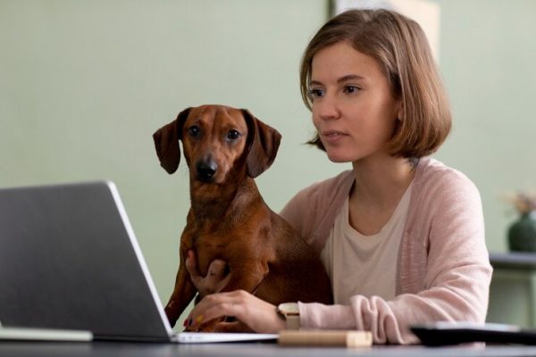 Veterinary Mastery Program